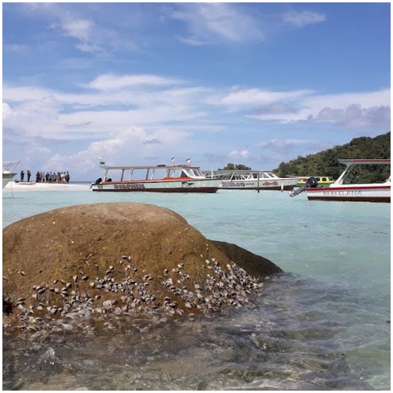 4 Potret Keindahan Pulau Kalimantung di Tapanuli Tengah